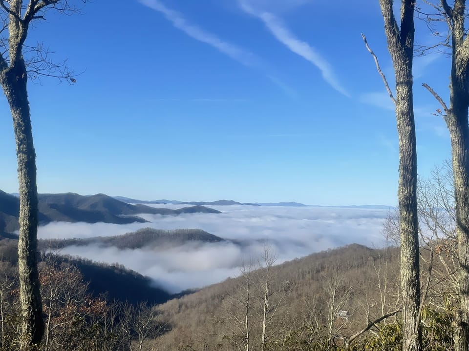 Winter View from the Deck