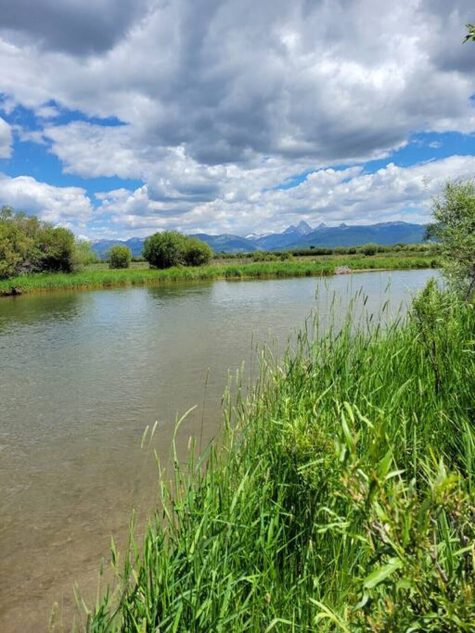 The Teton River Nearby