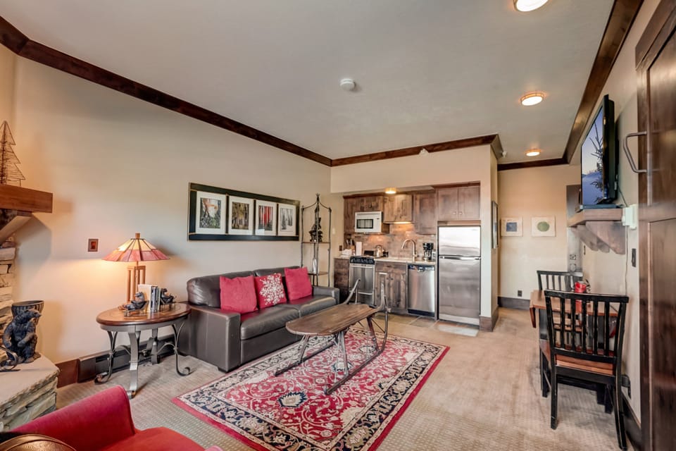 Living Area / Kitchenette
