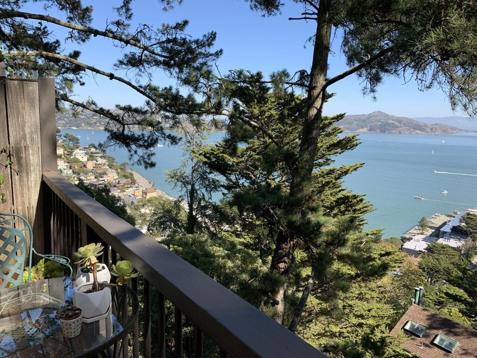 View from the porch with seating for 4. We look straight at Angel Island.