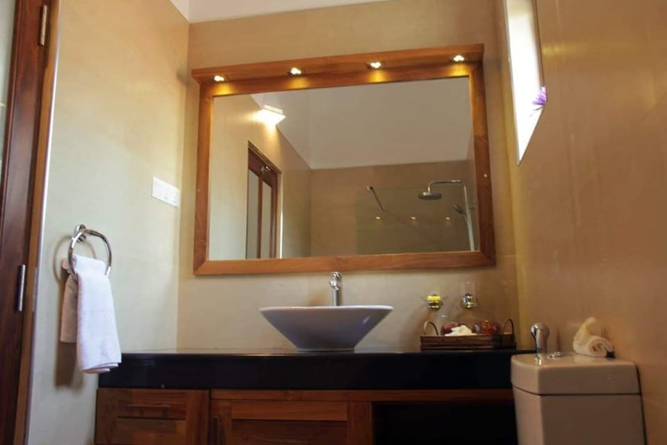 Bathroom in the Deluxe Apartment