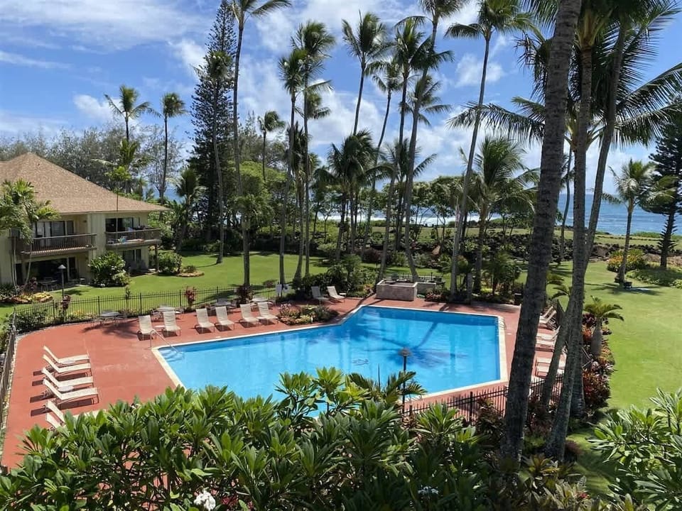 View Of the Pool