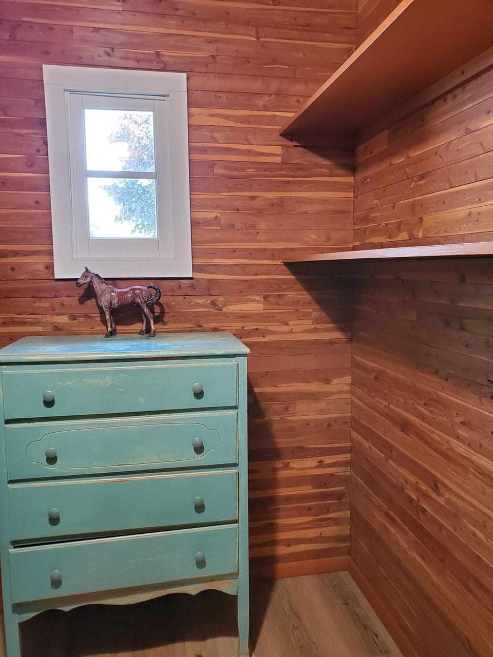 Walk in cedar closet 