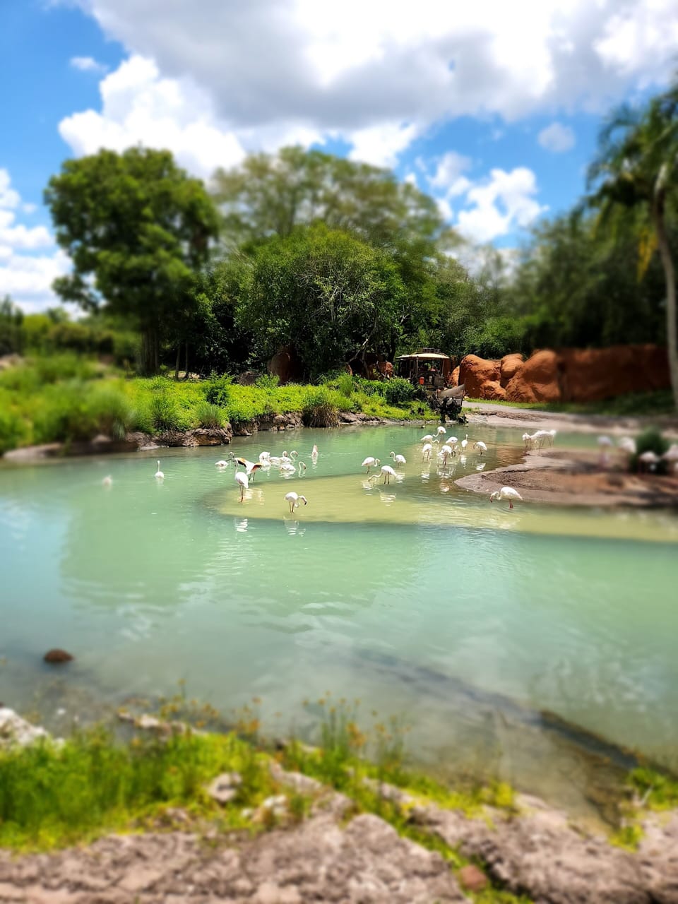 Visit South Padre Island,  Port Isabel,  Brownsville Zoo and so much more! 