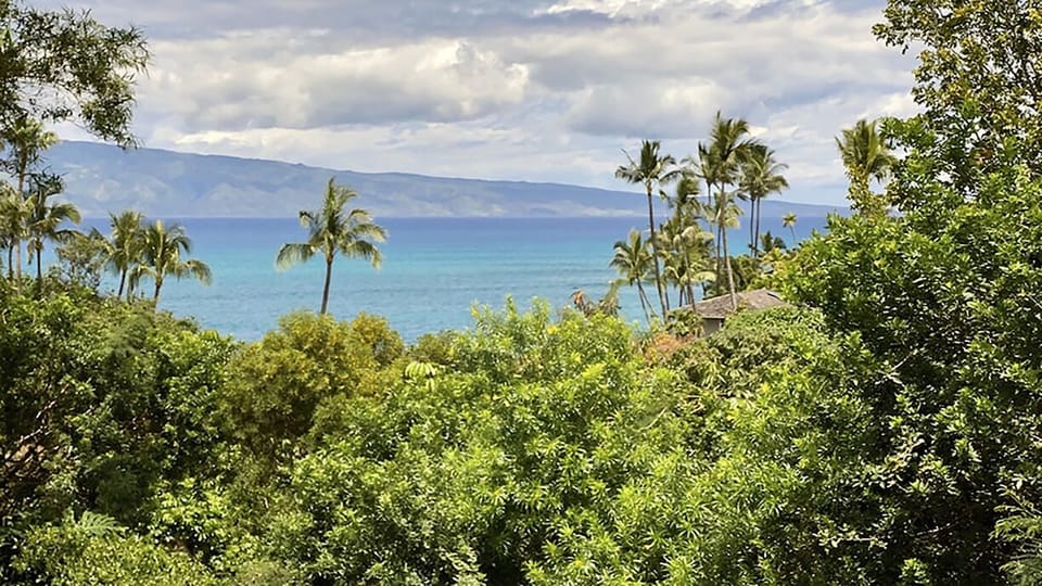 View from main floor balcony