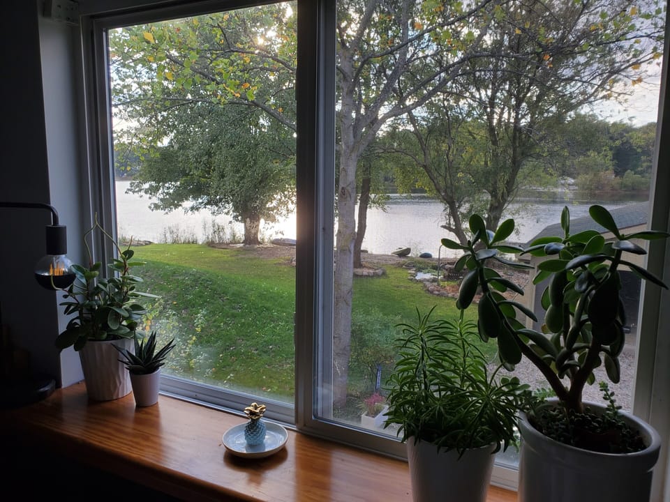 View from master bed.