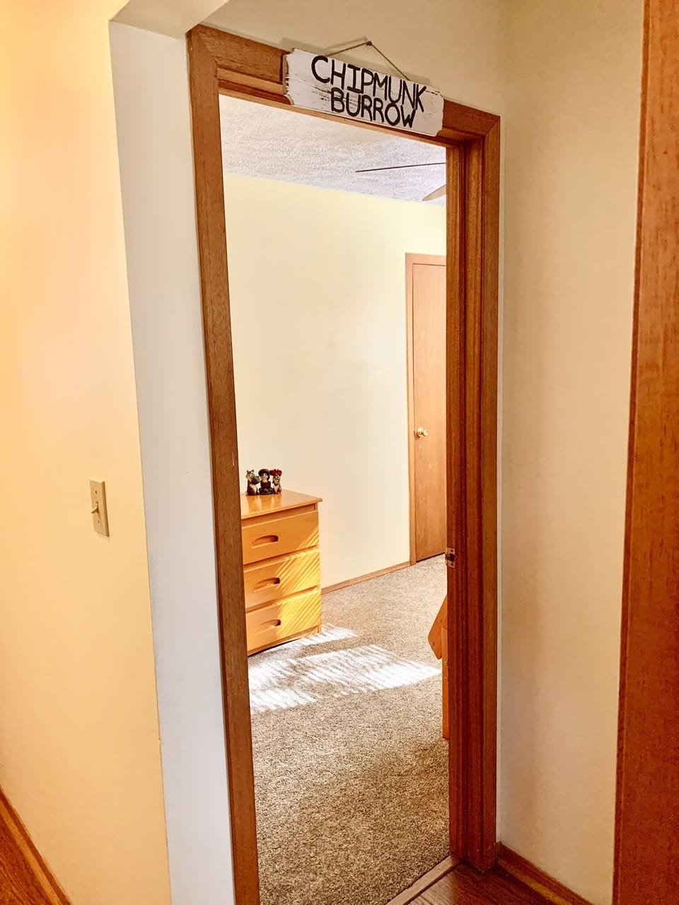 "Chipmunk Burrow" - 3rd floor bunk (single and full)