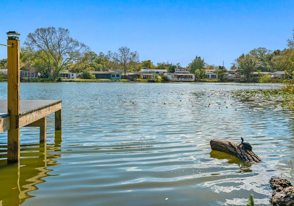 You will also probably see turtles, especially on the log near the dock.