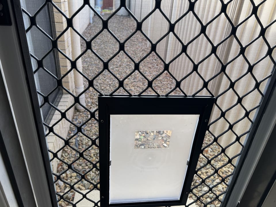 Pet door, Doggie door