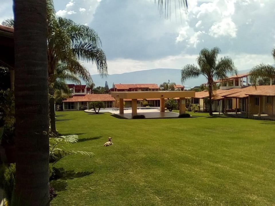Property grounds