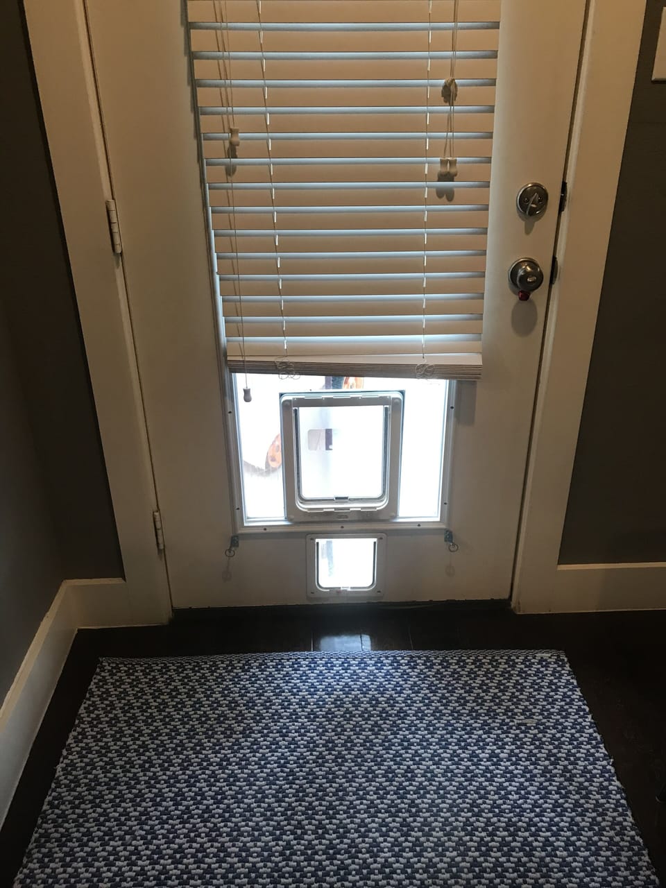 Dog/cat door, pet friendly