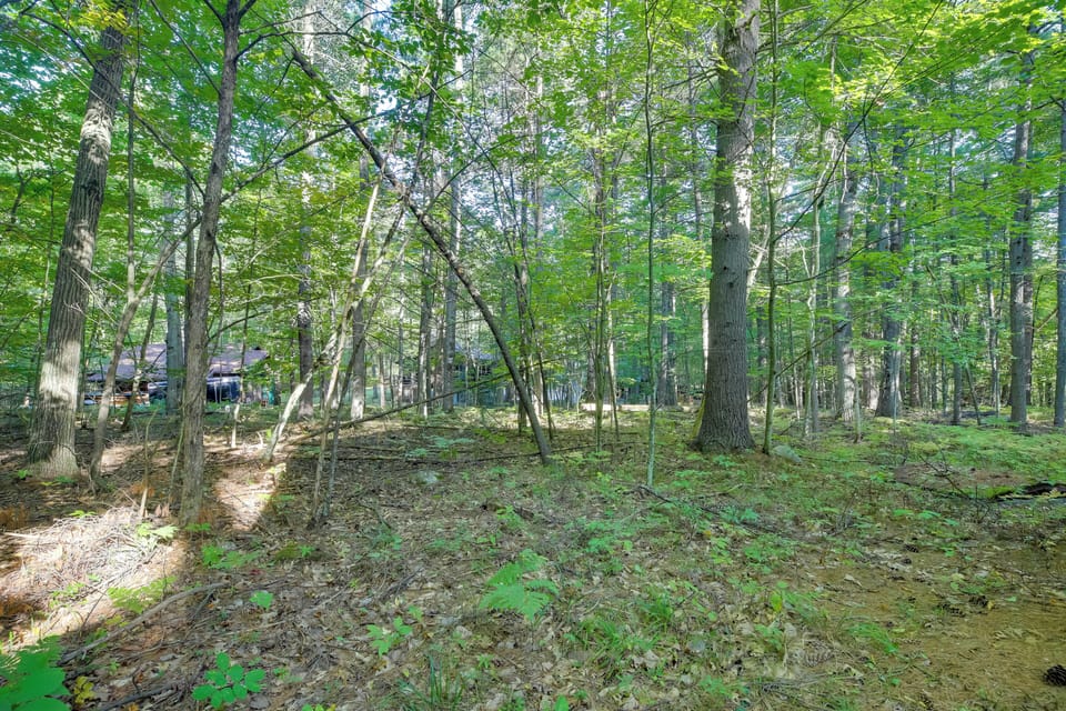 Backyard | Forest View