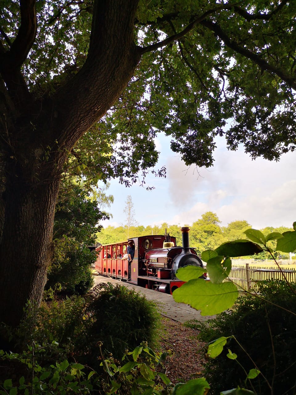 Hollycombe steam fair,  Iron Hill, Midhurst Rd, Liphook GU30 7LP (15 min drive)