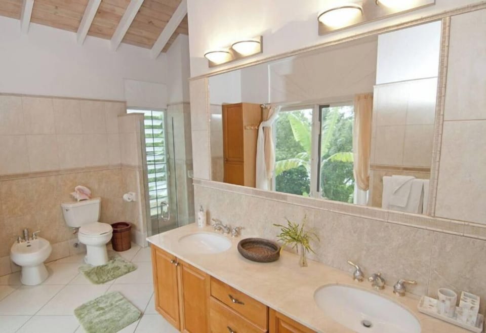 Master bathroom 