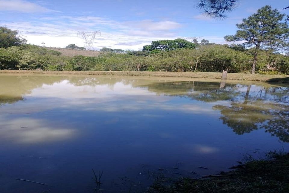 Lake