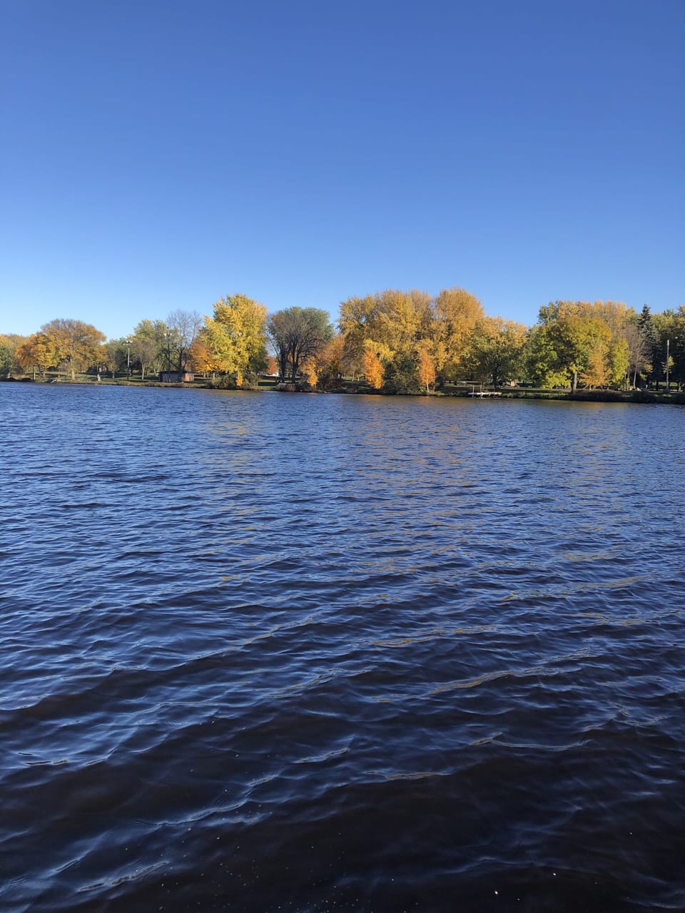 Fall colors on the river channel
