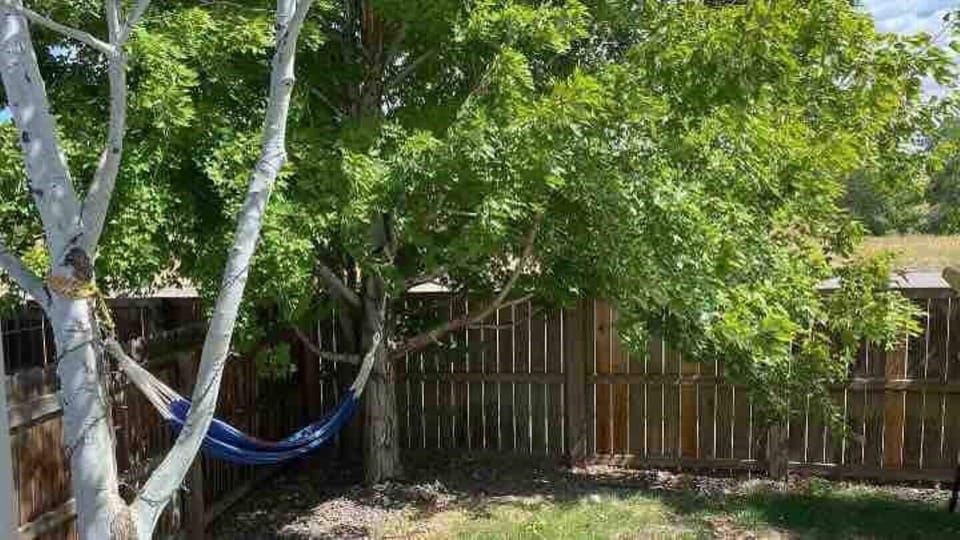 Two hammocks: USE WITH CAUTION 