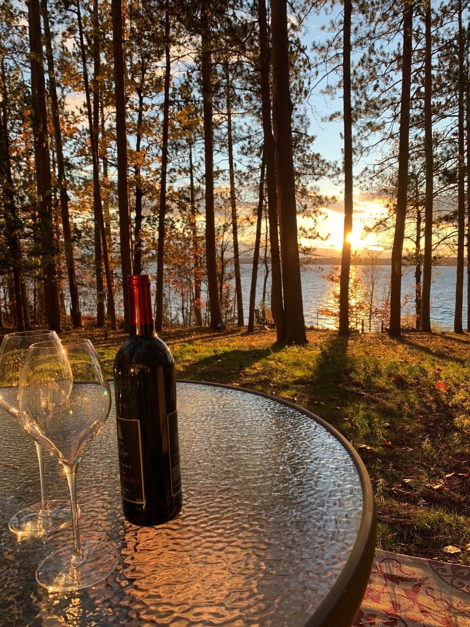 Enjoy dinner and cocktails from outdoor table in the backyard. 