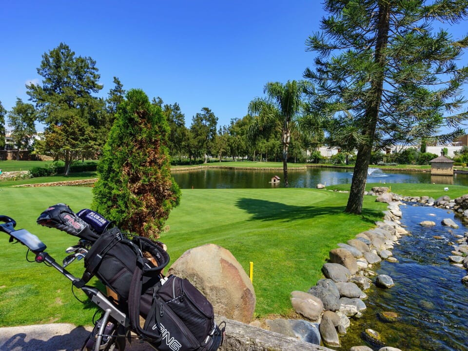Plant, Sky, Water, Sports Equipment, Tree, Natural Landscape, Land Lot, Grass, Leisure