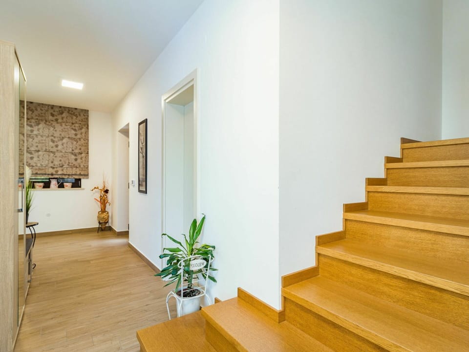 Plant, Houseplant, Wood, Building, Stairs, Flooring, Floor, Wood Stain, Paint