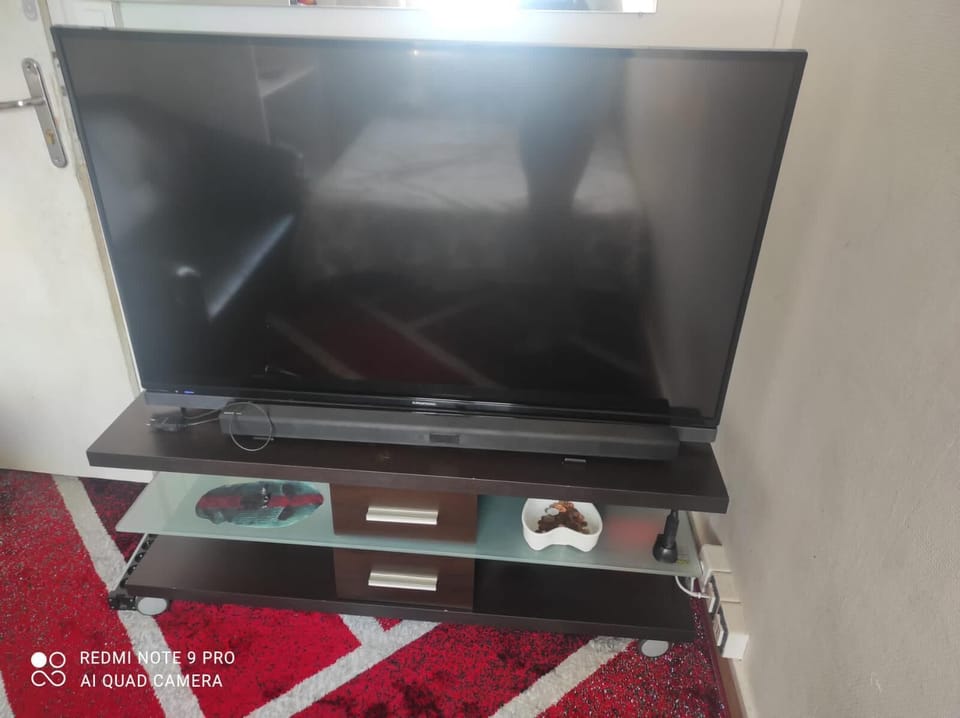 Television