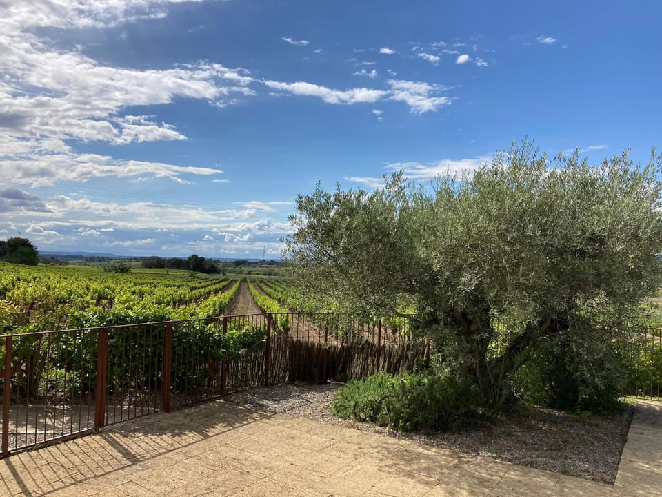 View from Holiday Home [summer]