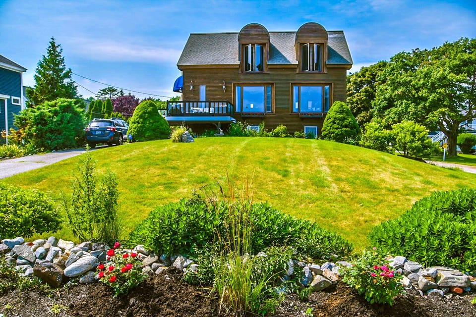 The house 