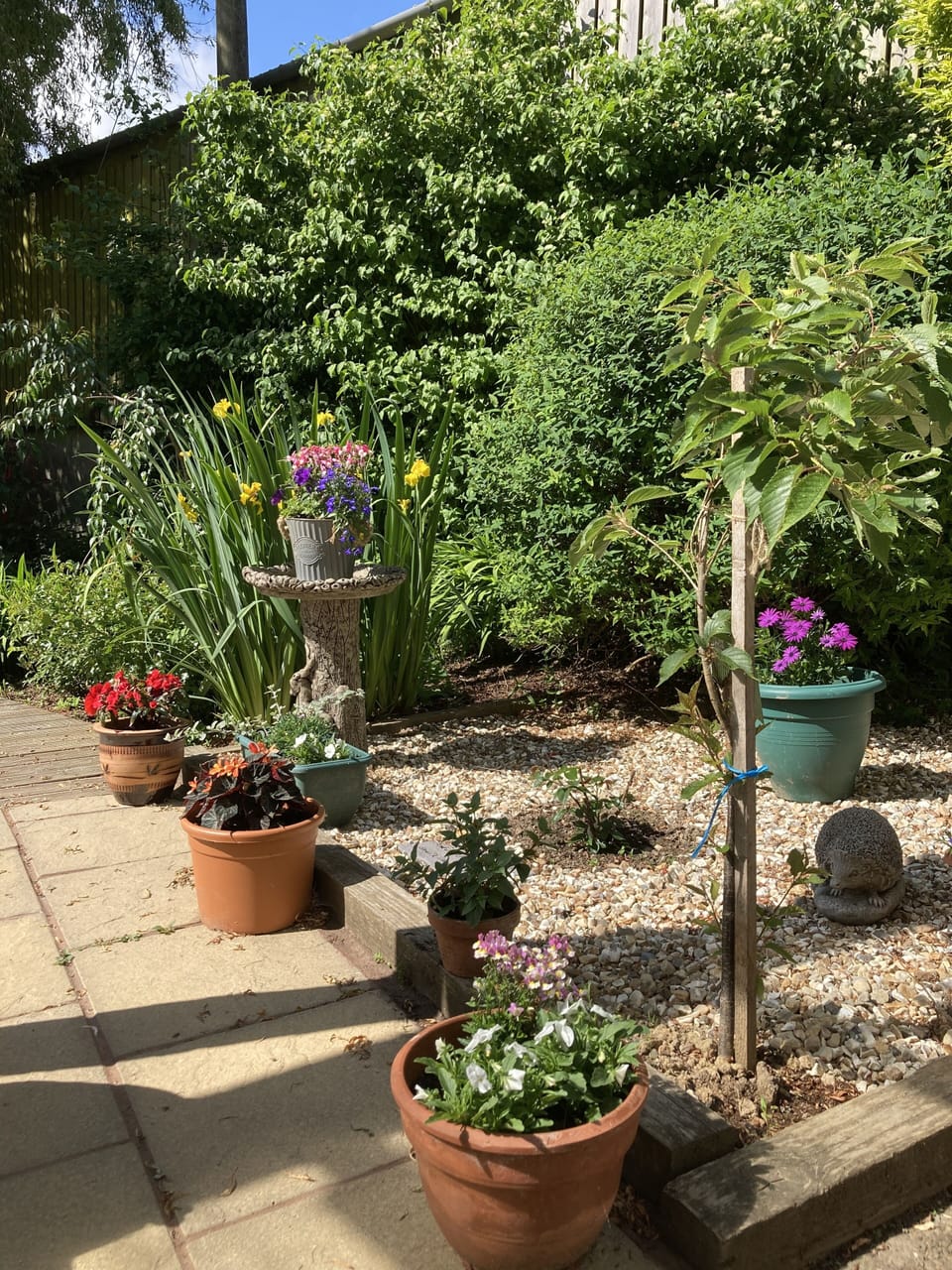 Image 12