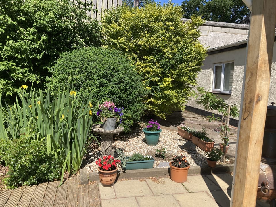 Image 14
