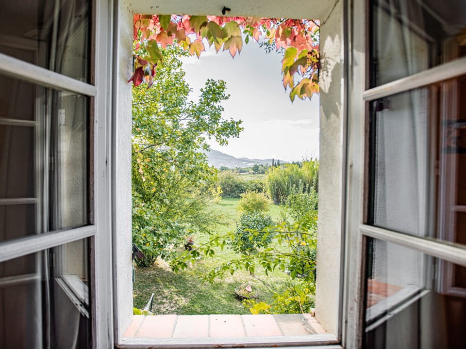 View from Holiday Home [summer]