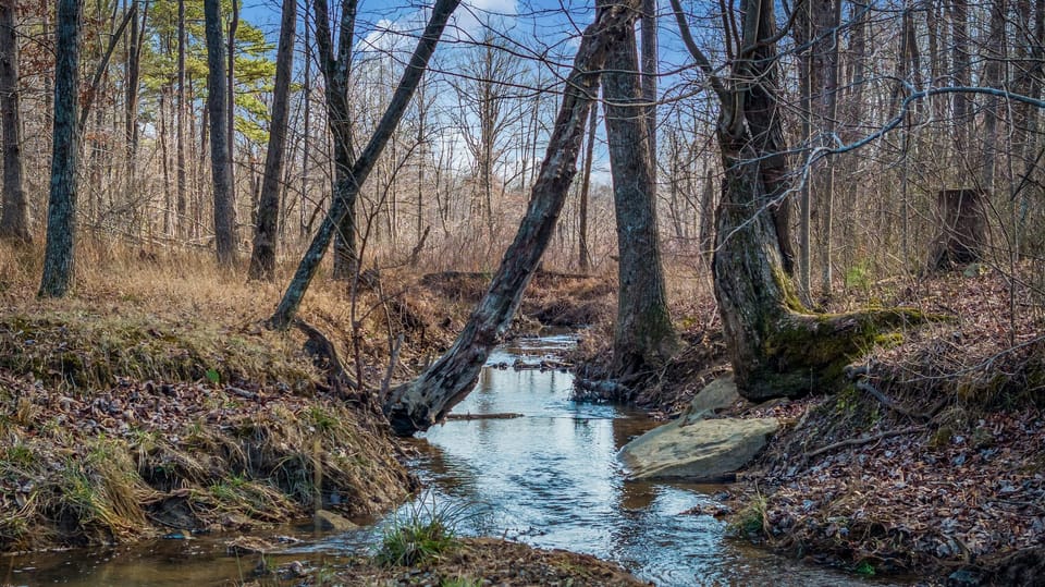 Stream by cabin that the spillway runs