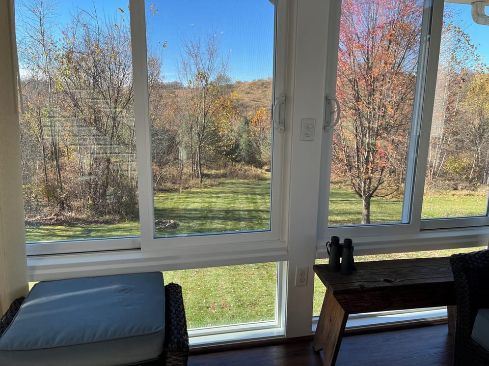 View from Sun Porch