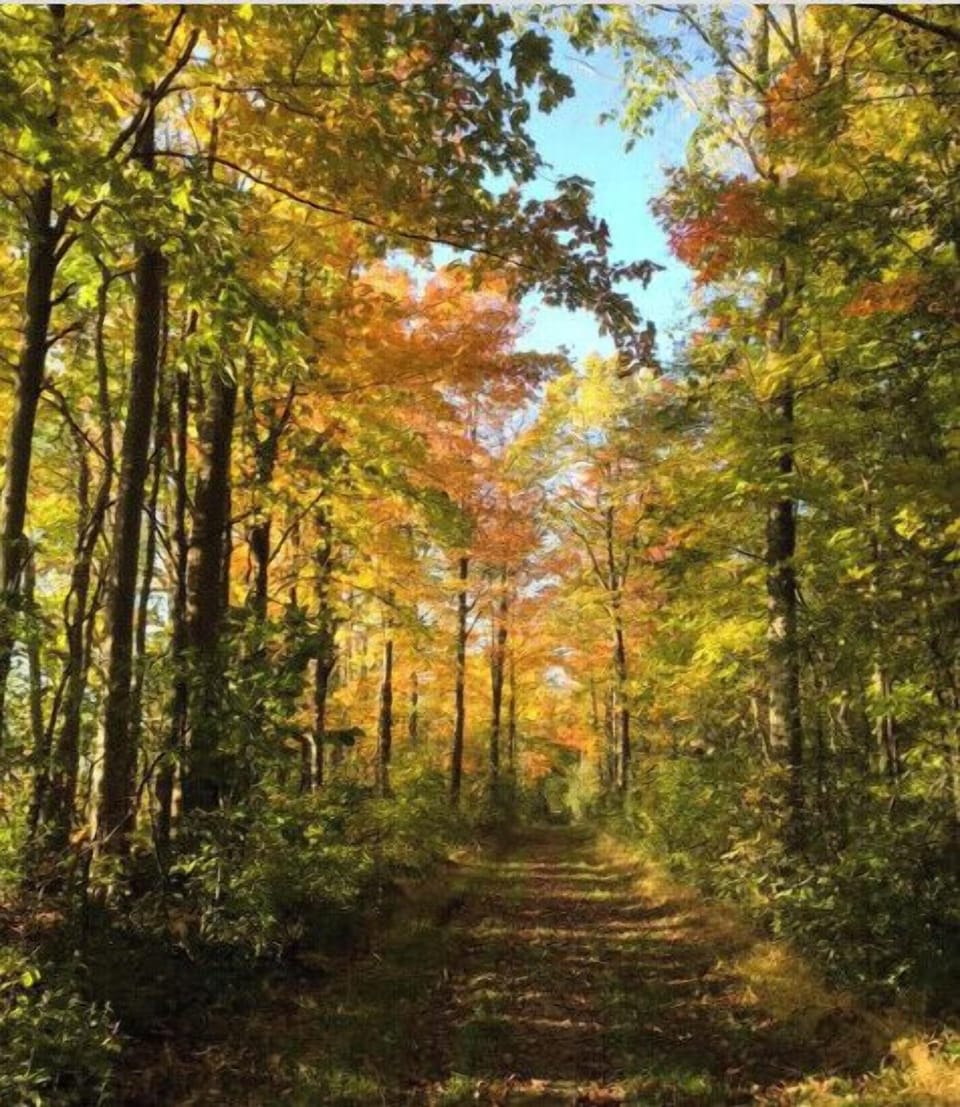 This is at the end of the road and on the Skidoo trail that goes by our bnb!
