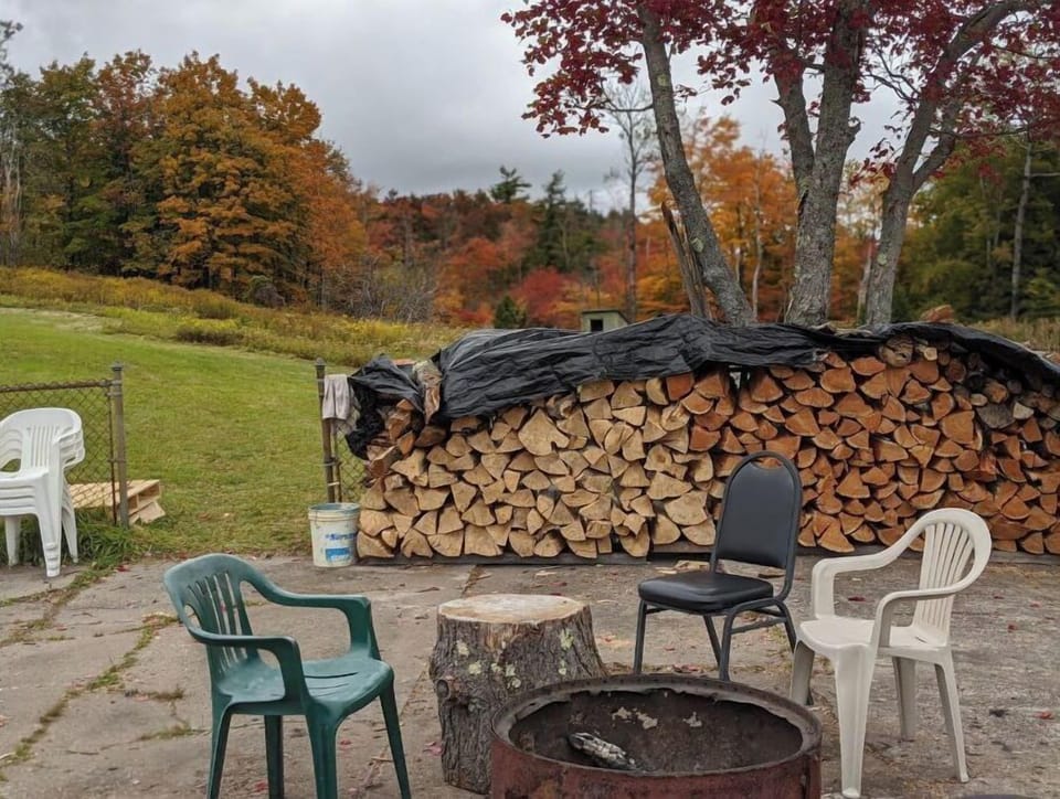 Fall colors at our site