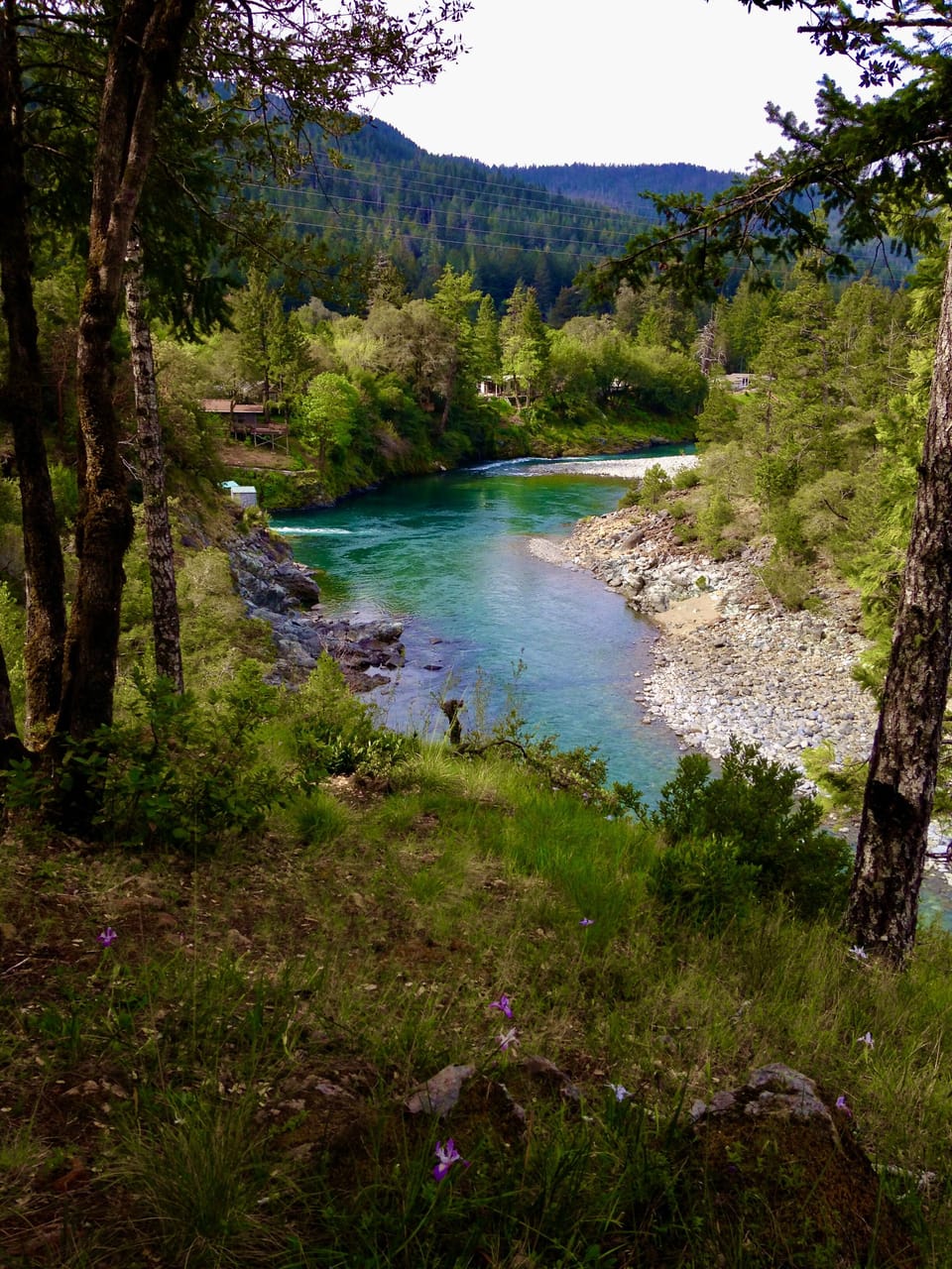 Smith River from Gasquet