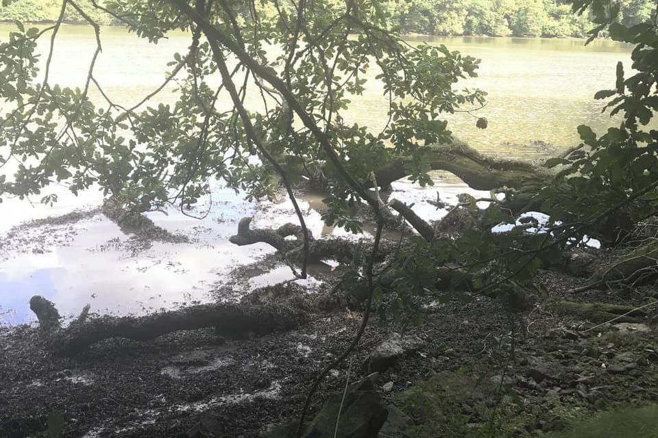 Image 18