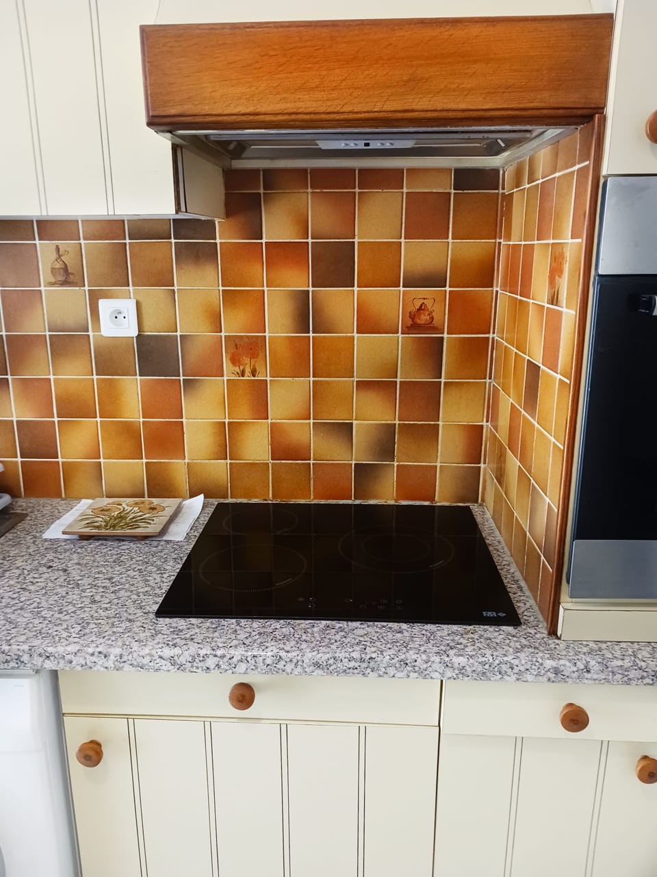 Brand new electric stove top
