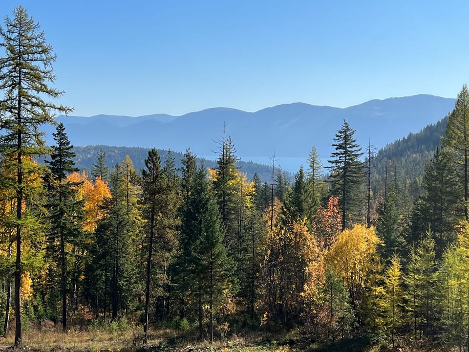 Every season is beautiful in northern Idaho but Fall is breathtaking!