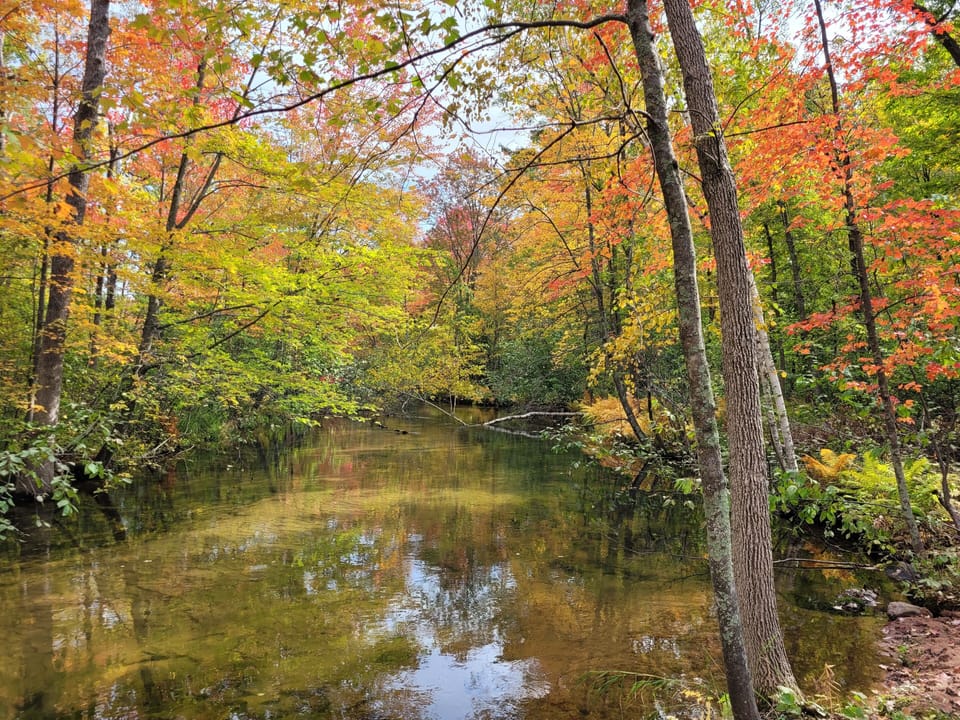 Fall is beautiful on the Yellow River!