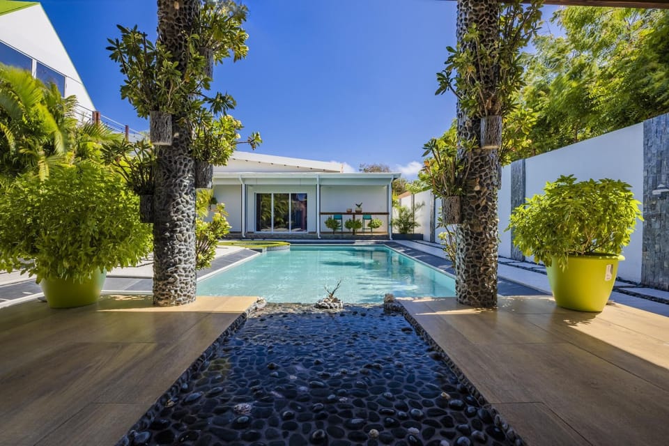 A view of the pool area from the pool bar.