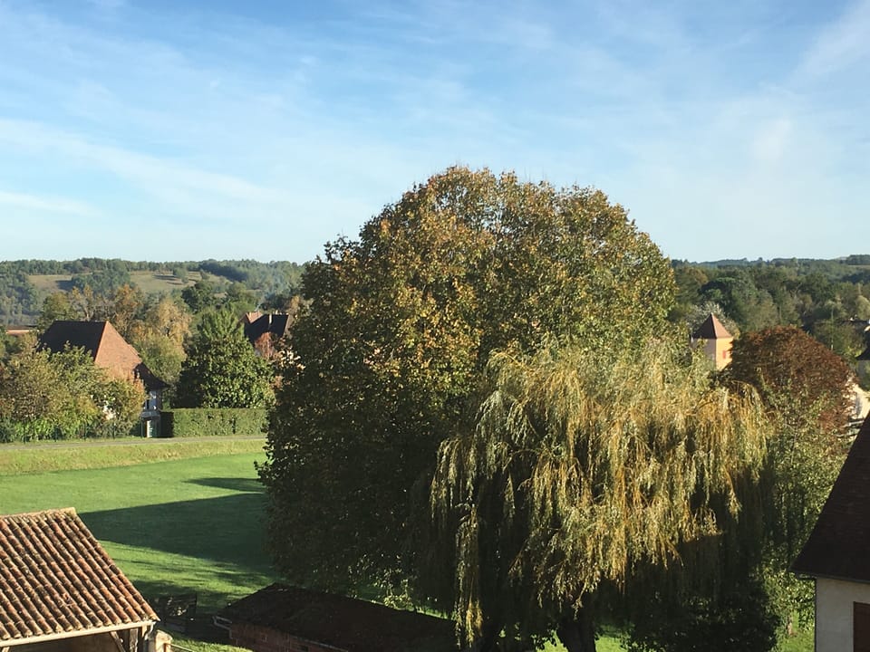 View from the house