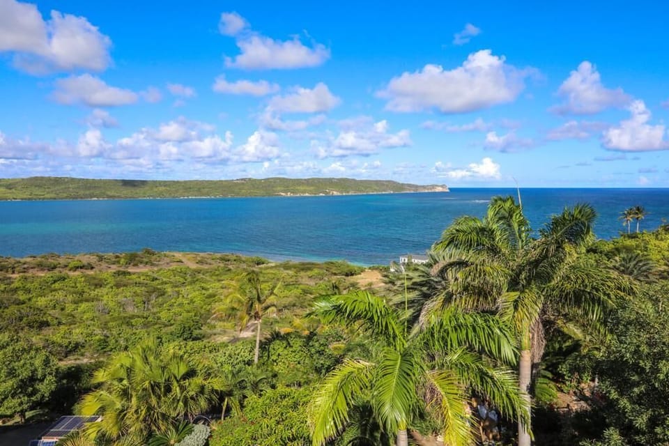 View from the house