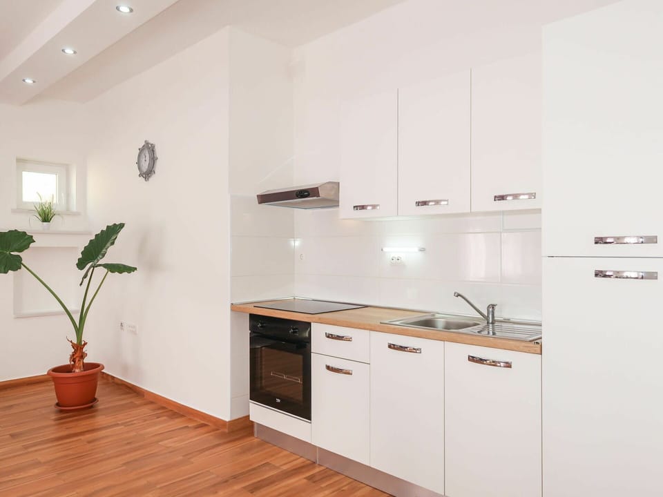 Cabinetry, Building, Plant, Countertop, Kitchen Appliance, Wood, Kitchen Stove, Houseplant, Flowerpot, Cooktop