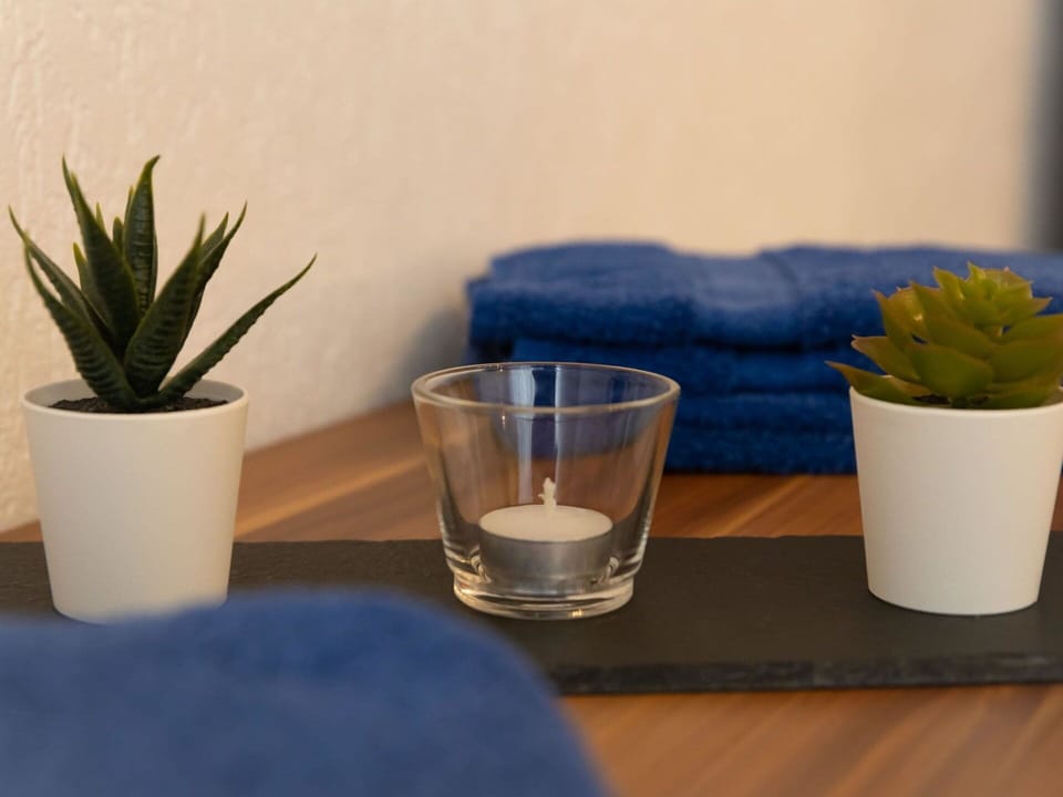 Plant, Drinkware, Dishware, Blue, Tableware, Flowerpot, Houseplant, Serveware, Table, Wood