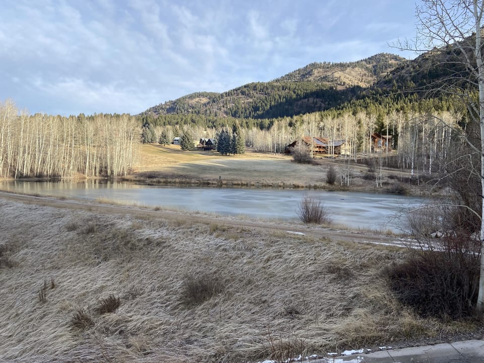 View from dining nook