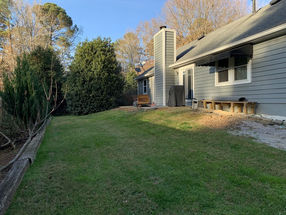 Back yard again. 