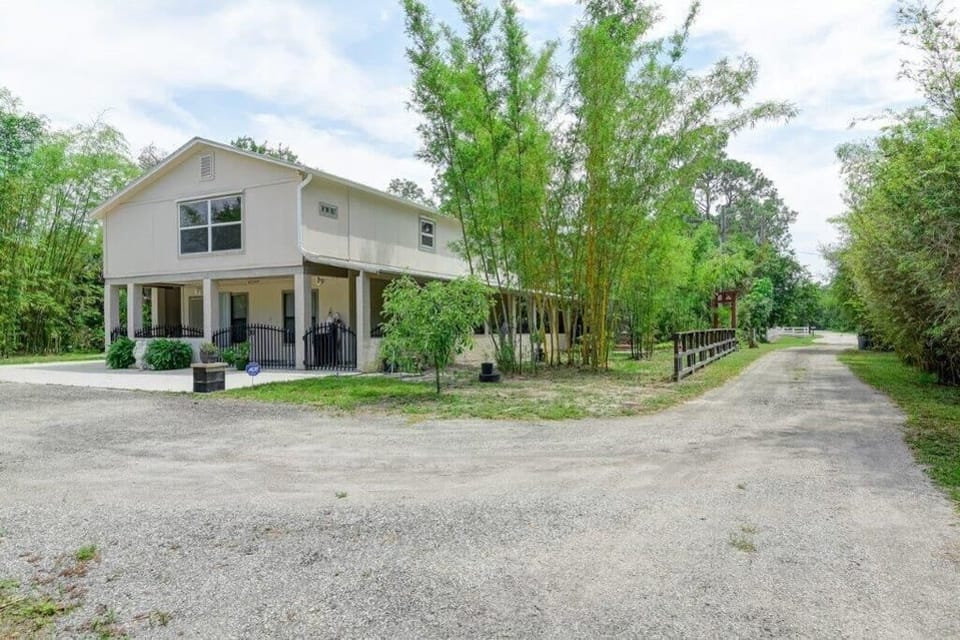 Beautiful bamboo and oaks surrounding the property