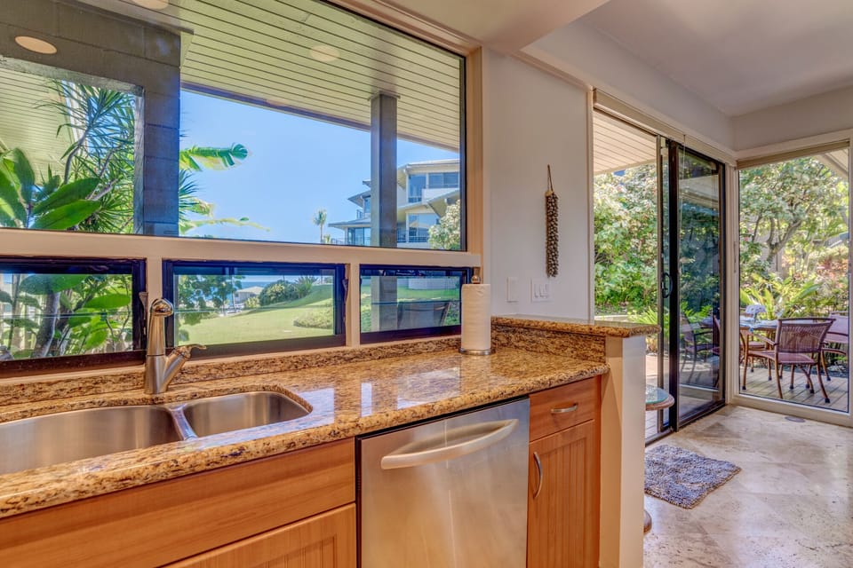 Dual sink and dish washer