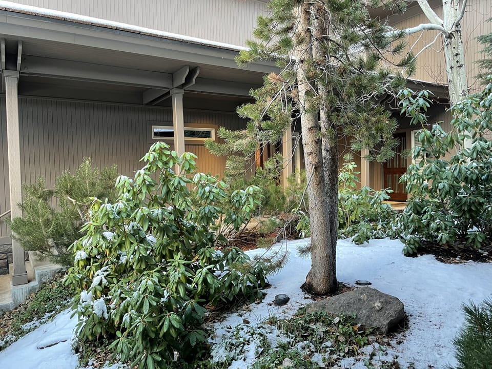 Charming courtyard outside our home.