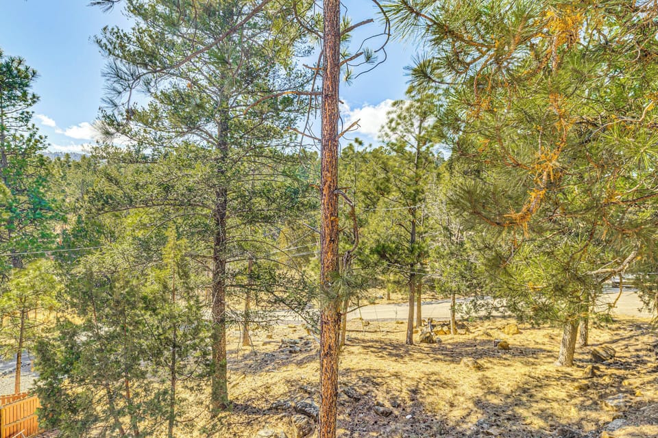Surrounding View